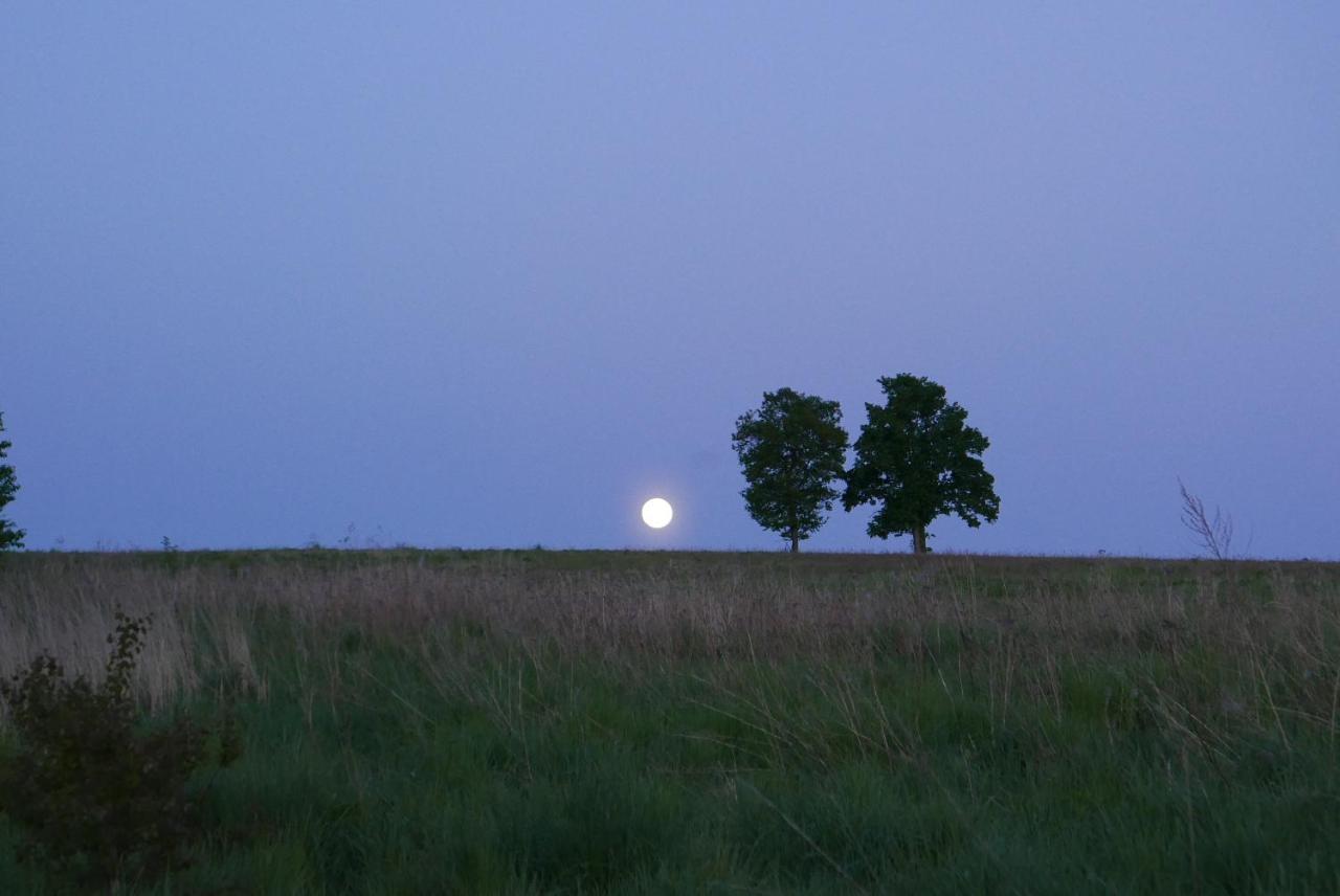 Roze I Jablonie Agroturystyka Gryfów Śląski Exteriér fotografie