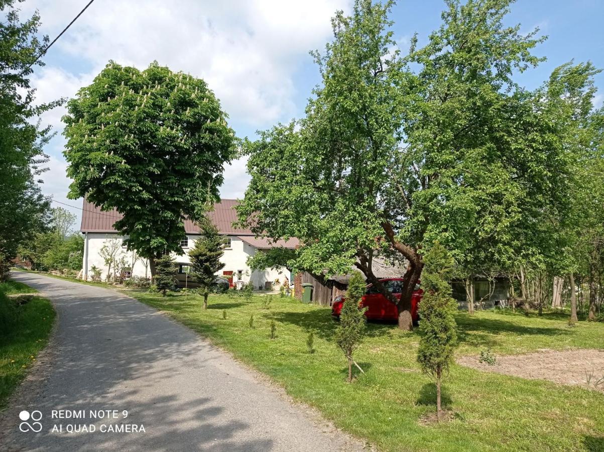Roze I Jablonie Agroturystyka Gryfów Śląski Exteriér fotografie