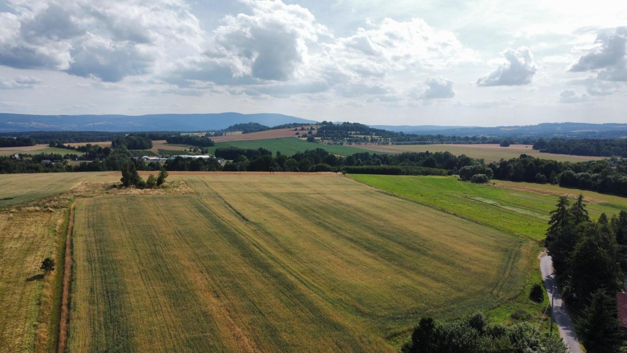 Roze I Jablonie Agroturystyka Gryfów Śląski Exteriér fotografie