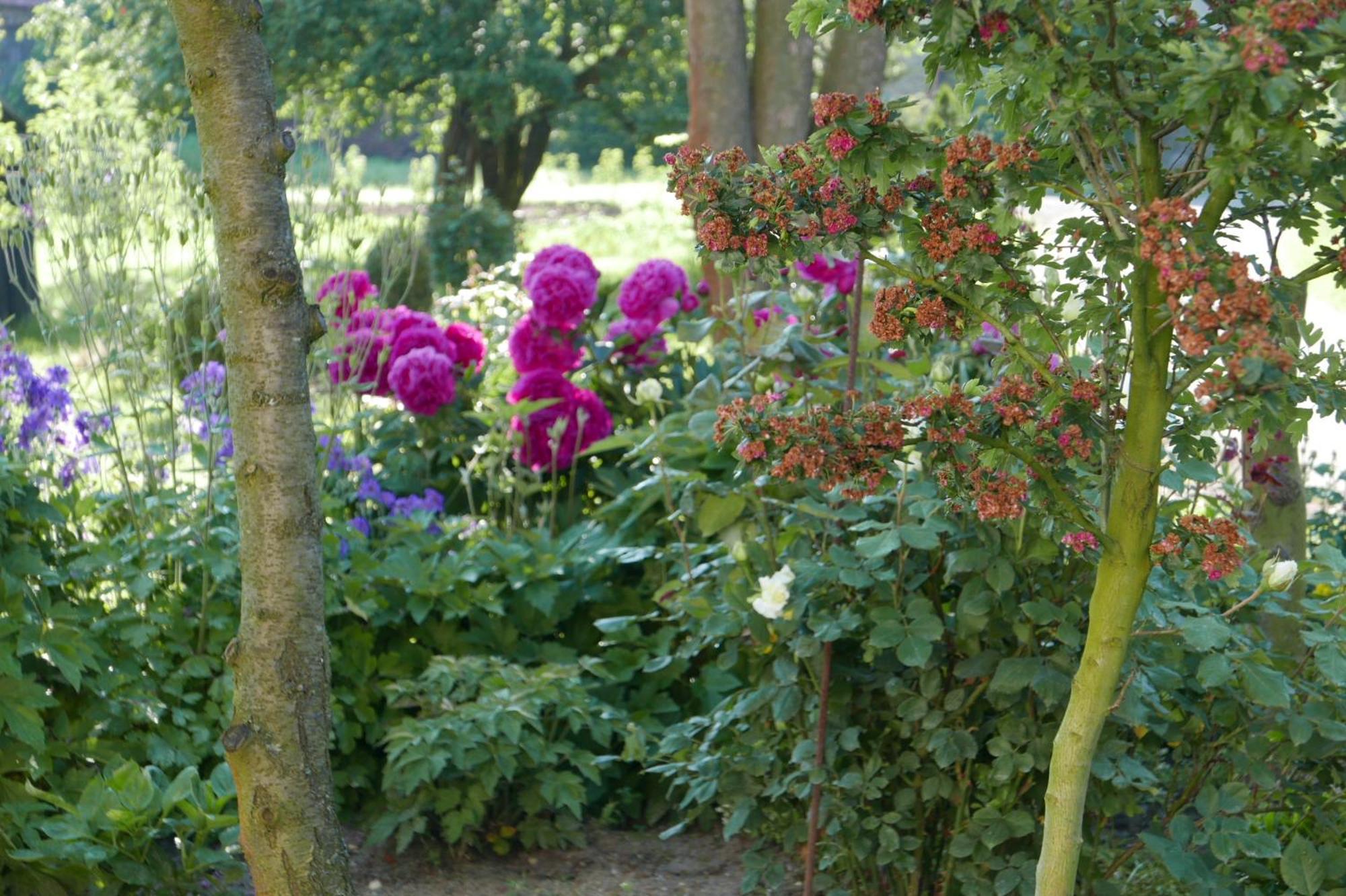 Roze I Jablonie Agroturystyka Gryfów Śląski Exteriér fotografie
