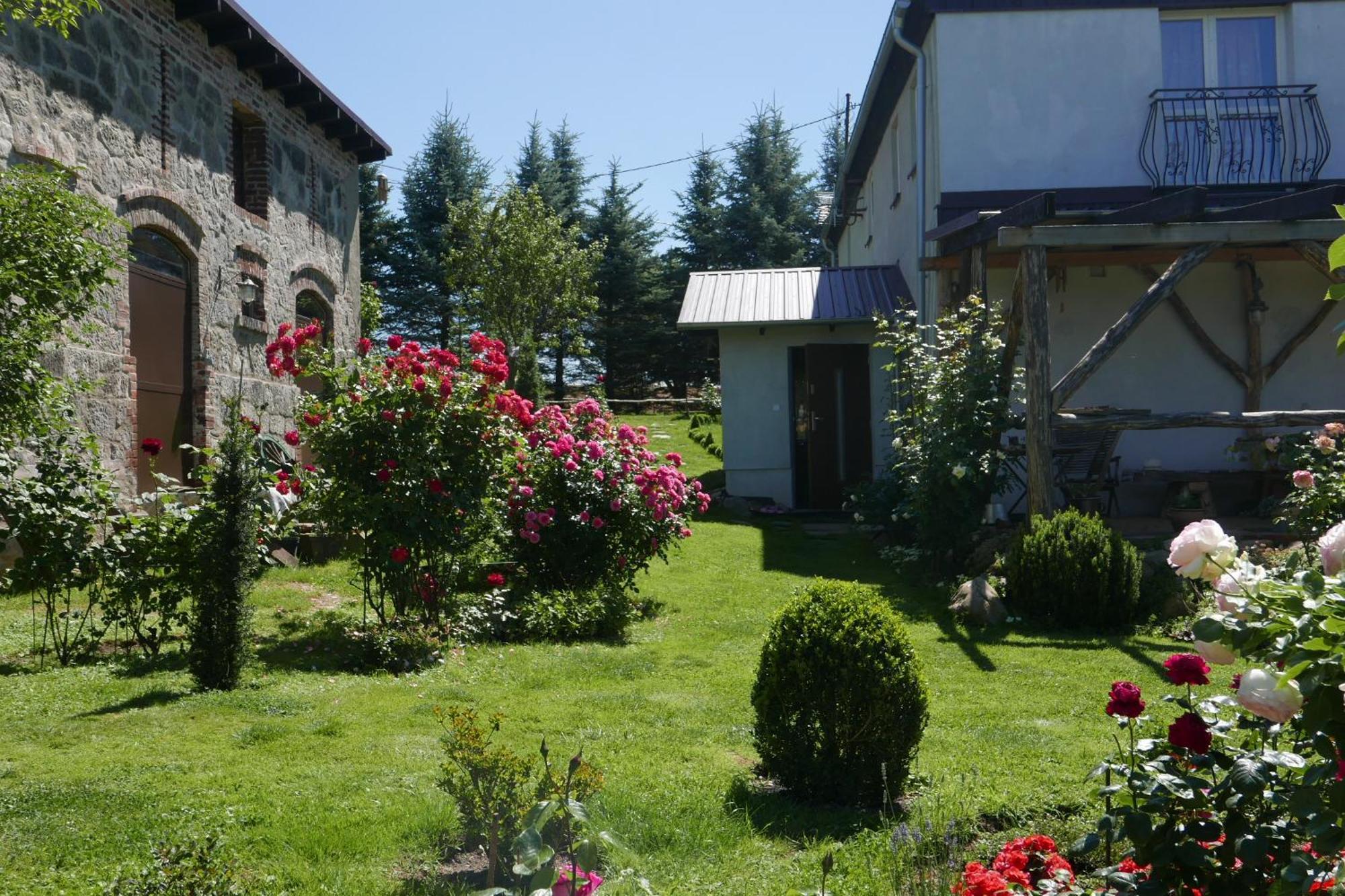 Roze I Jablonie Agroturystyka Gryfów Śląski Exteriér fotografie