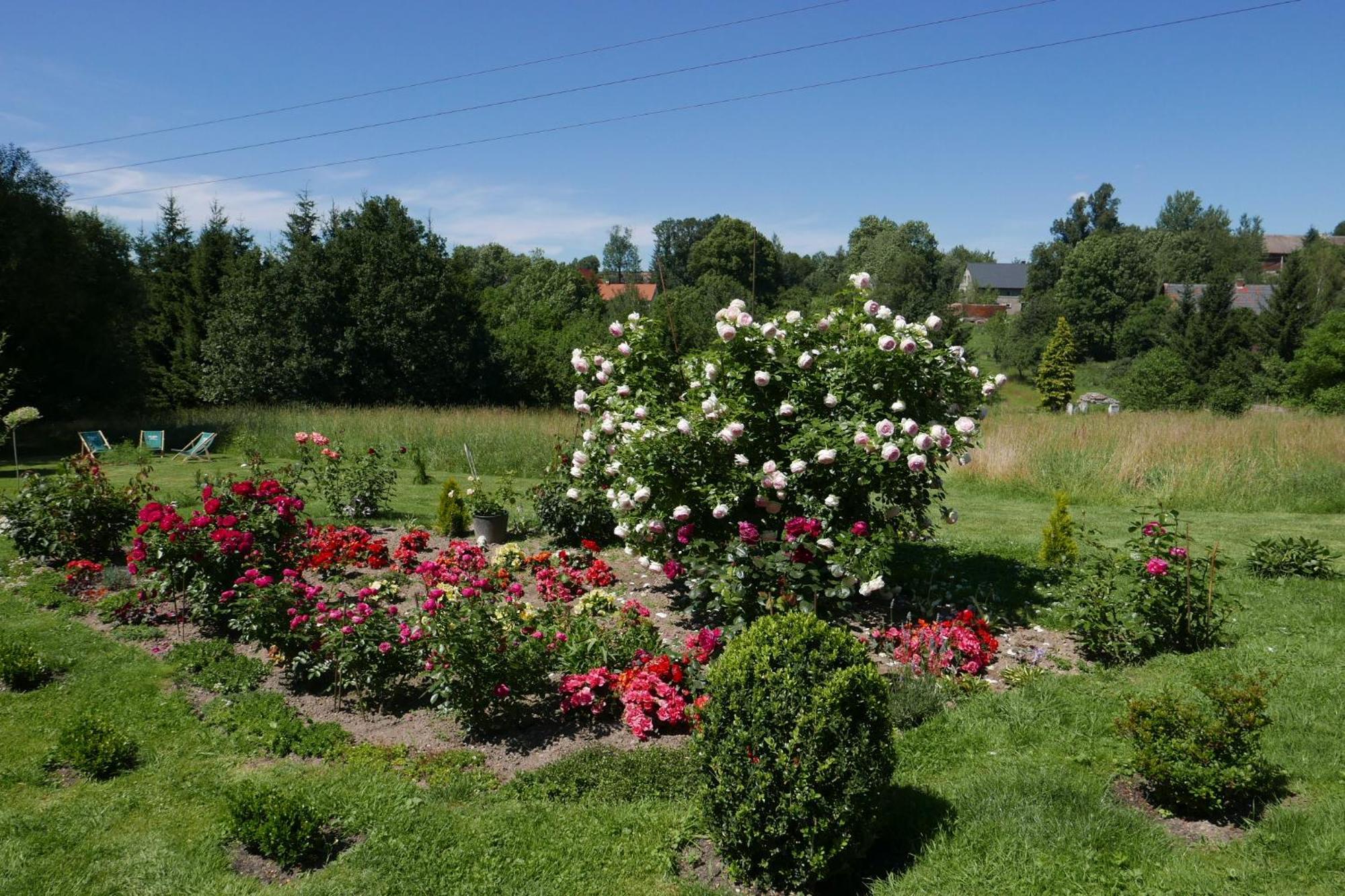 Roze I Jablonie Agroturystyka Gryfów Śląski Exteriér fotografie