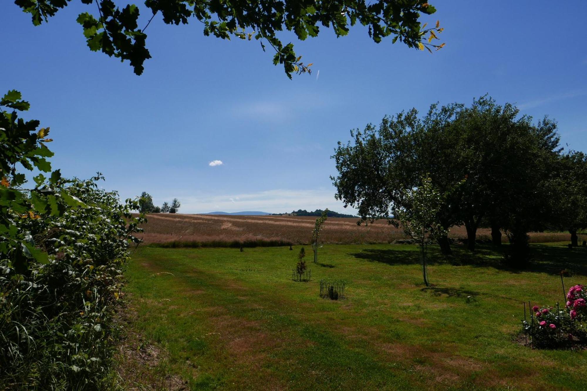 Roze I Jablonie Agroturystyka Gryfów Śląski Exteriér fotografie