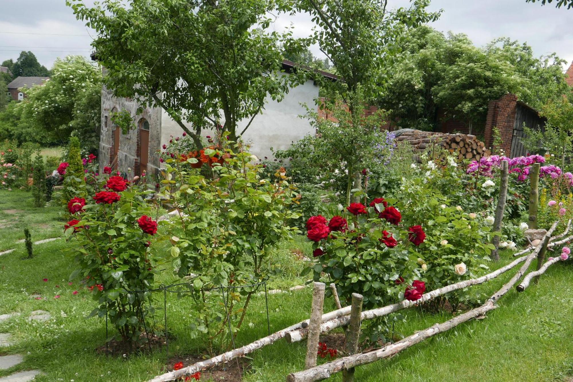 Roze I Jablonie Agroturystyka Gryfów Śląski Exteriér fotografie